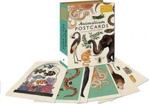 Animalium Postcards by Katie Scott & Jenny Broom