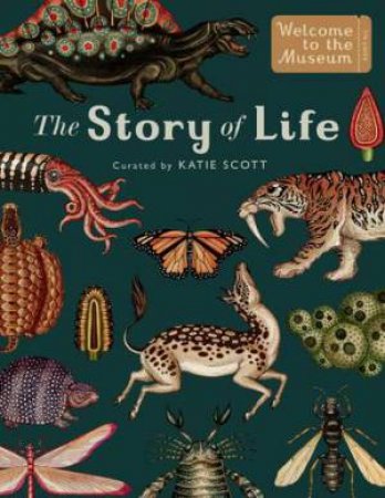 The Story of Life: Evolution (Extended Edition) by Katie Scott