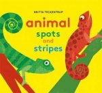 Animal Spots  Stripes