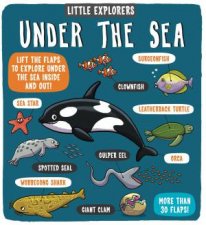Little Explorers Under The Sea