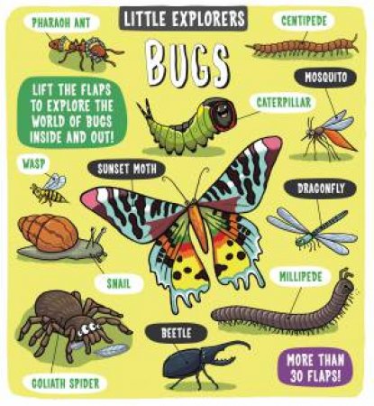 Little Explorers: Bugs by Various