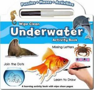 Wipe Clean Activity Book: Numbers