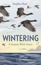 Wintering A Season With Geese