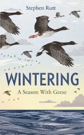Wintering: A Season Of Geese by Stephen Rutt