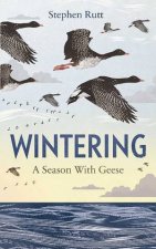 Wintering A Season Of Geese