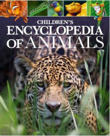 Children's Encyclopedia Of Animals by Michael Leach & Meriel Lland