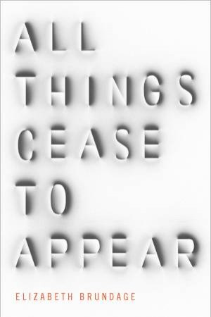 All Things Cease to Appear by Elizabeth Brundage