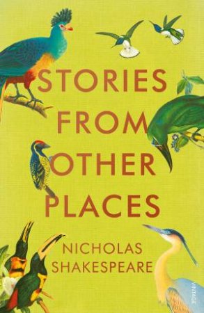 Stories From Other Places by Nicholas Shakespeare