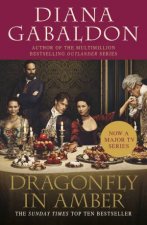 Dragonfly In Amber TV TieIn