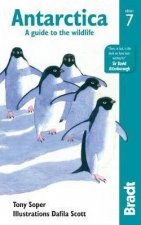 Bradt Guide Antarctica A Guide to the Wildlife 7th Ed