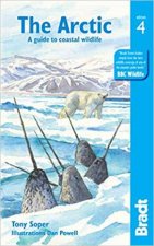 Bradt Travel Guide The Arctic