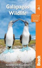 Bradt Travel Guide Galapagos Wildlife