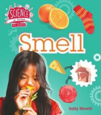 The Senses: Smell by Sally Hewitt