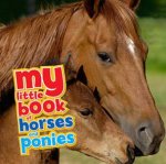 Horses And Ponies