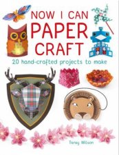 Now I Can Paper Craft 20 HandCrafted Projects to Make
