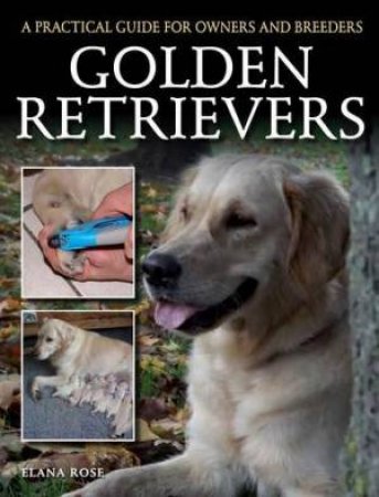 Golden Retrievers: Practical Guide for Owners & Breeders by ALLEN JACKSON