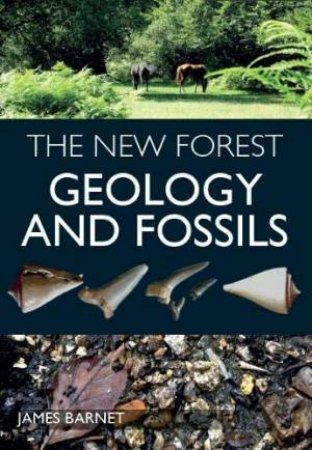 The New Forest: Geology And Fossils by James Barnet