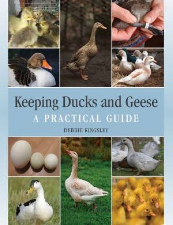 Keeping Ducks And Geese: A Practical Guide by Debbie Kingsley