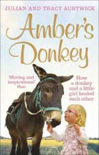 Ambers Donkey How a donkey and a little girl healed each other