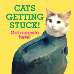 Cats Getting Stuck! by Various