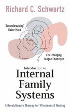 Introduction to Internal Family Systems