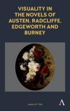 Visuality In The Novels Of Austen Radcliffe Edgeworth And Burney