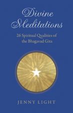 Divine Meditations 26 Spiritual Qualities Of The Bhagavad Gita