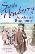 Bicycles and Blackberries