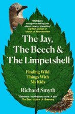 The Jay The Beech and the Limpetshell Finding Wild Things With My Kids