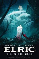 Michael Moorcocks Elric Vol 3