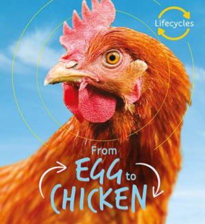 Egg To Chicken (Lifecycles) by Camilla de la Bedoyere
