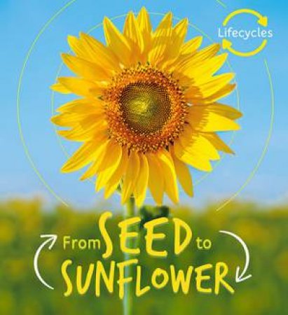 From Seed To Sunflower (Lifecycles) by Camilla de la Bedoyere