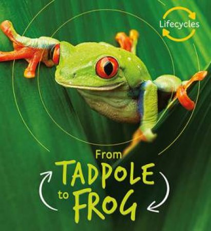 Tadpole To Frog (Lifecycles) by Camilla de la Bedoyere