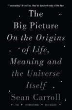 Big Picture