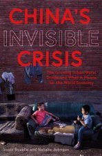Chinas Invisible Crisis The Growing UrbanRural Divide And What It Means