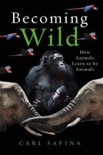 Becoming Wild How Animals Learn To Be Animals