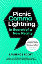 Picnic Comma Lightning In Search of a New Reality