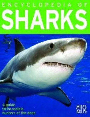 Encyclopedia Of Sharks by Anna Claybourne