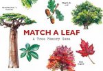 Match A Leaf A Tree Memory Game