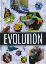 Evolution Evolution