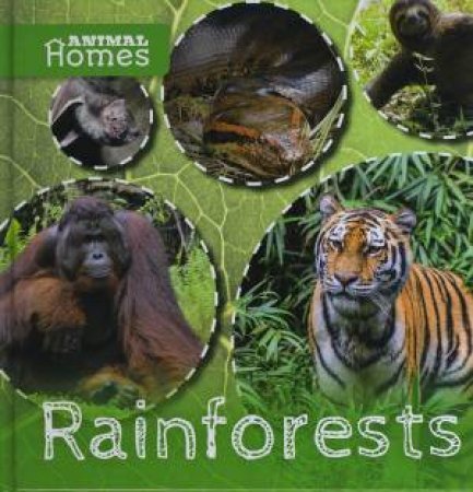 Animal Homes: Rainforests by John Wood