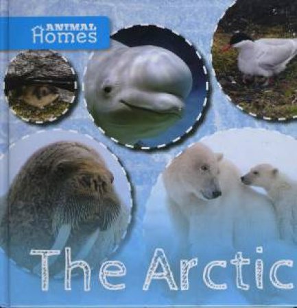 Animal Homes: The Arctic by John Wood