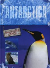 Endangered Animals Antarctica