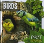 Forest Explorer Birds