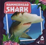 Teeth To Tail Hammerhead Shark