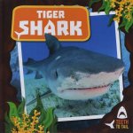Teeth To Tail Tiger Shark