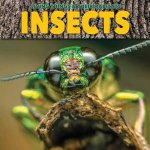 Living Things and Their Habitats Insects