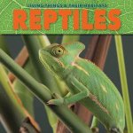 Living Things and Their Habitats Reptiles