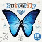 Life Cycles Butterfly