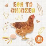 Life Cycles Chicken